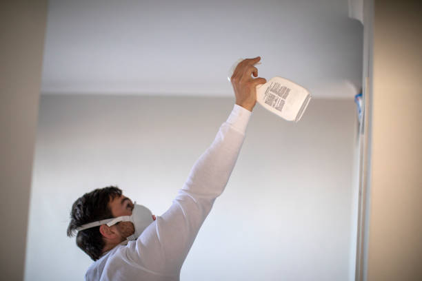 Best Commercial Mold Remediation in South Brooksville, FL